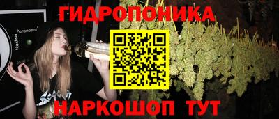 2c-b Гусев